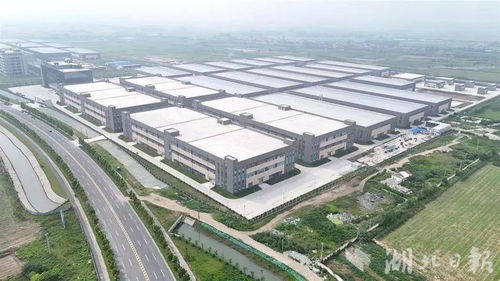 稀散金屬 超級(jí)工廠 內(nèi),孿生元素分離純度可達(dá)99.5