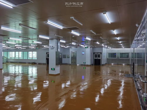 科技賦能 現(xiàn)代化罐頭食品生產(chǎn)凈化車間設(shè)計(jì)新理念與實(shí)踐